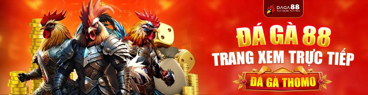 Đá gà trực tiếp đầy kịch tính tại qq66 khuyến mãi